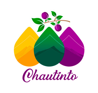 logo-chautinto