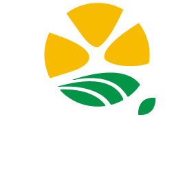 logo-inovadores-ciruelo-3